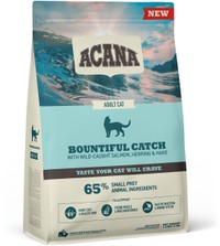 Acana Bountiful Catch Zalm & Haring & Heek kattenbrokken voor volwassen katten - 1,8 kg