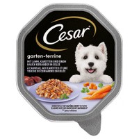 Cesar Cuisine lam, wortelen en koriander in gelei natvoer voor volwassen honden - 4,2 kg