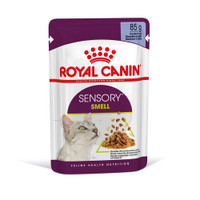 Royal Canin Sensory Smell in gelei natvoer voor volwassen katten - 1,02 kg