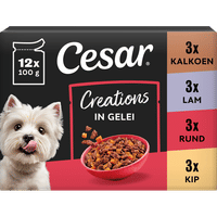 Cesar Classic Selectie in gelei natvoer voor honden - 1,2 kg