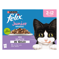Felix Elke Dag Feest Junior Original mix in gelei natvoer voor katten - 1,02 kg